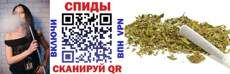 Купить где Новосокольники Бутират буратино