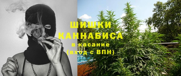 индика Кукмор