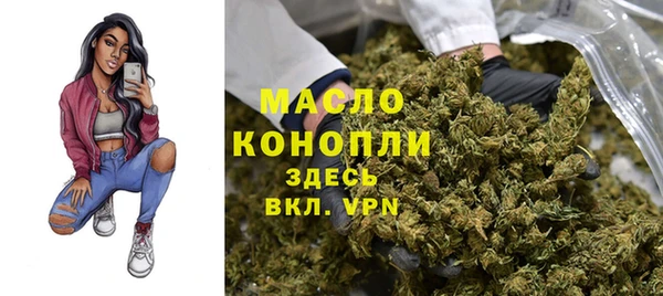 индика Кукмор