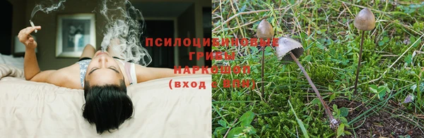 МДПВ Ладушкин