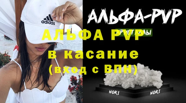 индика Кукмор