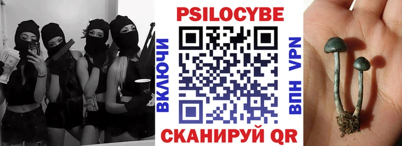 Галлюциногенные грибы ЛСД  Купить  Новосокольники 